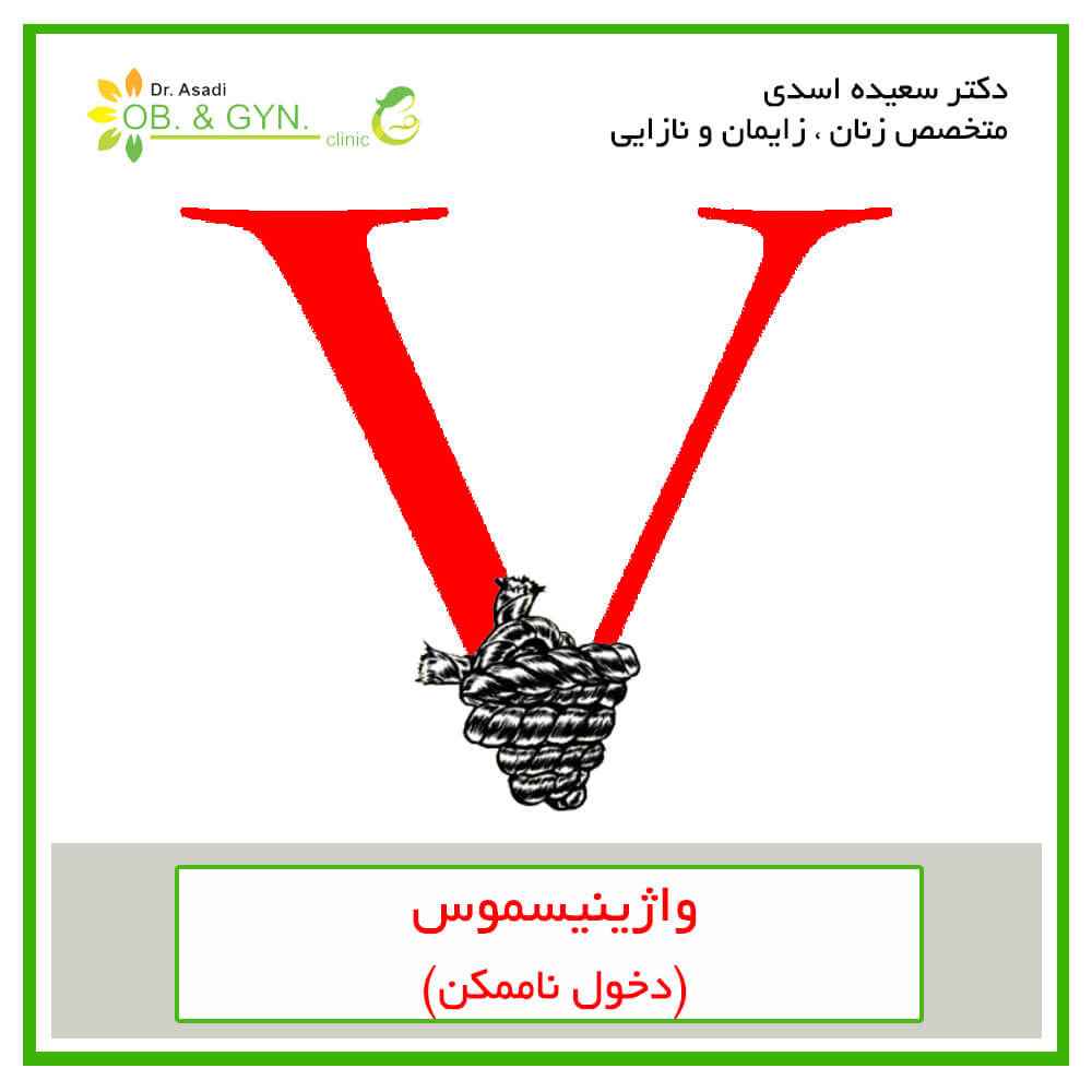 واژینیسموس چیست | دکتر سعیده اسدی٬ متخصص زنان در شرق تهران واژینیسموس چیست | دکتر سعیده اسدی٬ متخصص زنان در شرق تهران