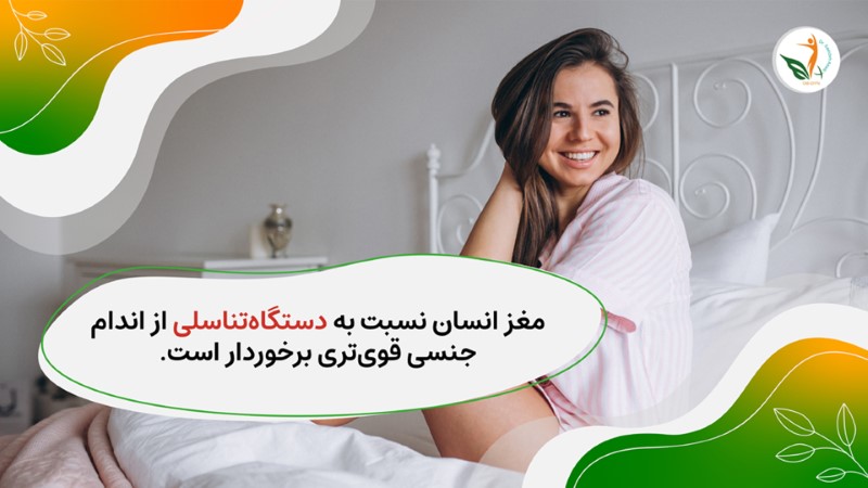 actions before sex 02 - اقدامات قبل از رابطه جنسی